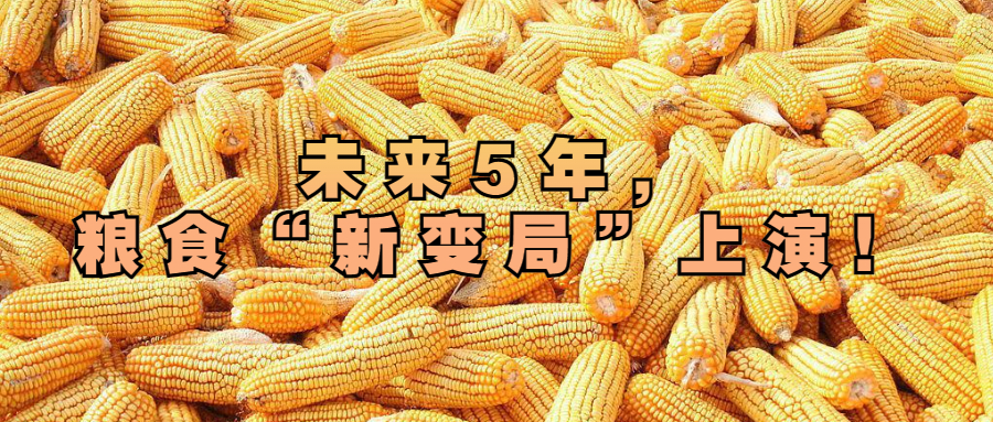 未來(lái)5年，糧食“新變局”上演！