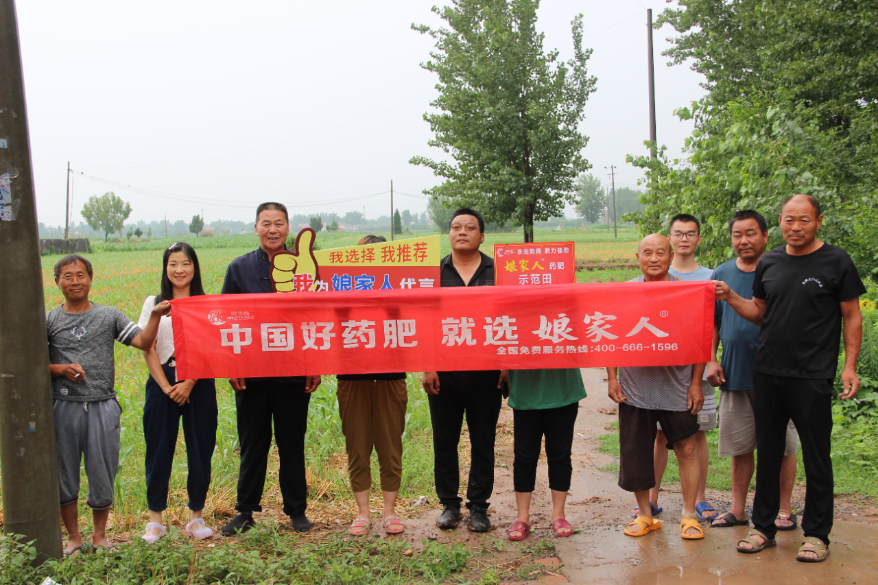 娘家人玉米藥肥，使用效果實(shí)地回訪